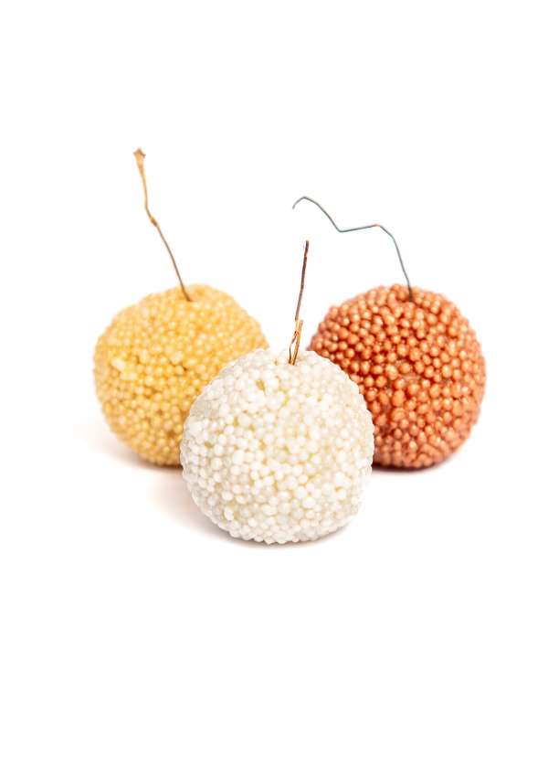 Cerise (Variete Amande)