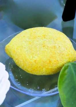 Citron salée ps