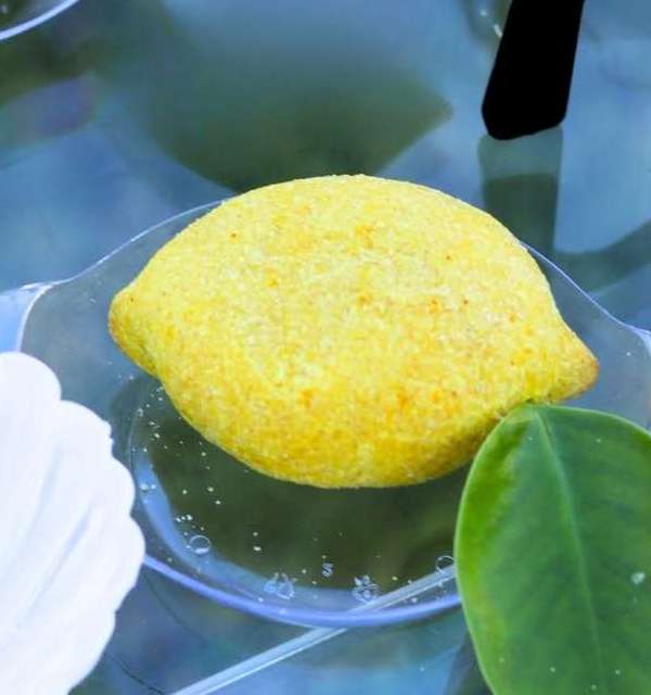 Citron salée ps